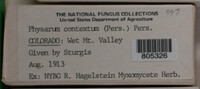 Image Associated With the Occurence